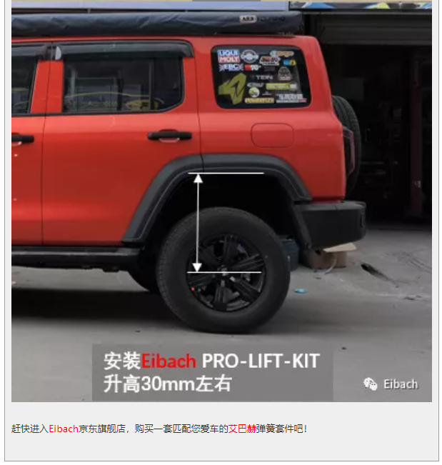 最新发布 | 坦克300 x 艾巴赫高性能升高弹簧PRO-LIFT-KIT(图8)